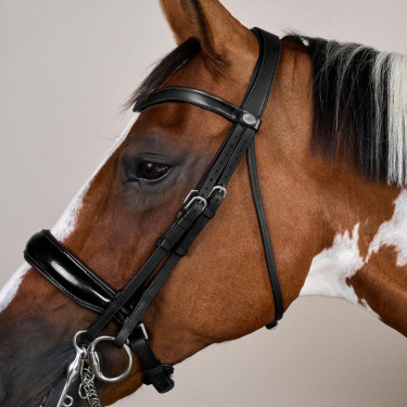 Bridão Muserola Larga Envernizada Working By Dy'on Preto