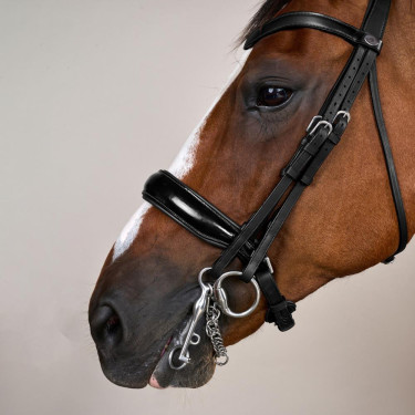 Bridão Muserola Larga Envernizada Working By Dy'on Preto