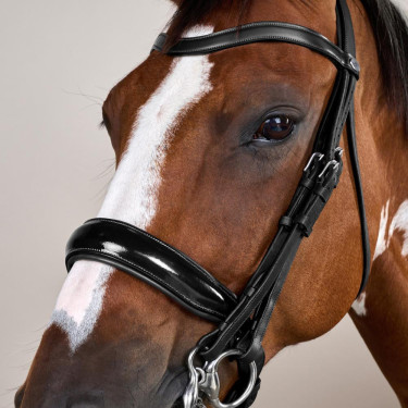 Bridão Muserola Larga Envernizada Working By Dy'on Preto