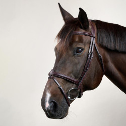 Bridão Muserola Combinada Dy'on New English Collection Castanho