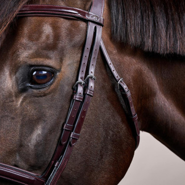 Bridão Muserola Combinada Dy'on New English Collection Castanho