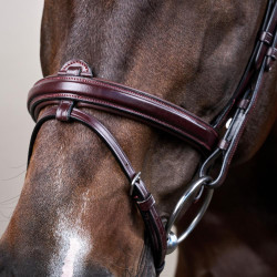 Bridão Muserola Combinada Dy'on New English Collection Castanho