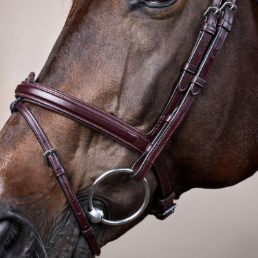 Bridão Muserola Combinada Dy'on New English Collection Castanho