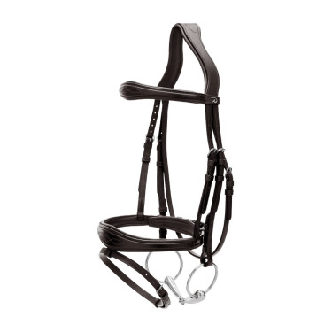 Bridão Muserola Combinada Anatômica Dy'on New English Collection Preto