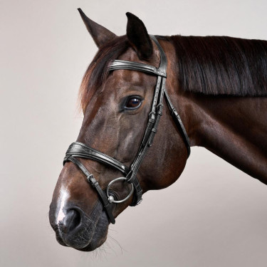 Bridão Muserola Combinada Anatômica Dy'on New English Collection Preto Bridão Muserola Combinada Anatômica Dy'on New English Collection Preto