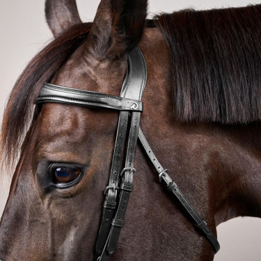 Bridão Muserola Combinada Anatômica Dy'on New English Collection Preto Bridão Muserola Combinada Anatômica Dy'on New English Collection Preto