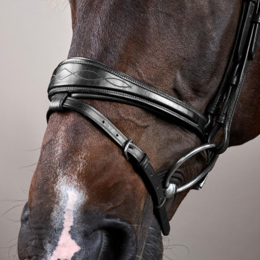 Bridão Muserola Combinada Anatômica Dy'on New English Collection Preto Bridão Muserola Combinada Anatômica Dy'on New English Collection Preto