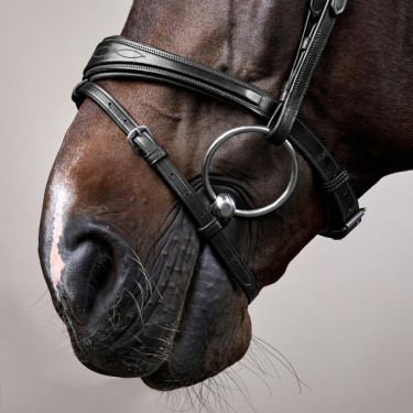 Bridão Muserola Combinada Anatômica Dy'on New English Collection Preto Bridão Muserola Combinada Anatômica Dy'on New English Collection Preto