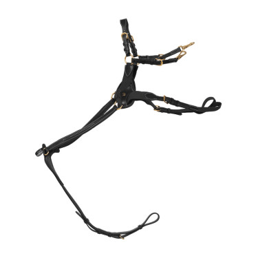 Peitoral de 5 pontos com elásticos D Collection Dy'on Preto