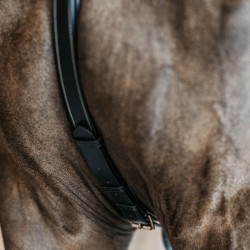 Peitoral de 5 pontos com elásticos D Collection Dy'on Preto