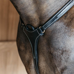 Peitoral de 5 pontos com elásticos D Collection Dy'on Preto