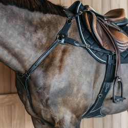 Peitoral de 5 pontos com elásticos D Collection Dy'on Preto