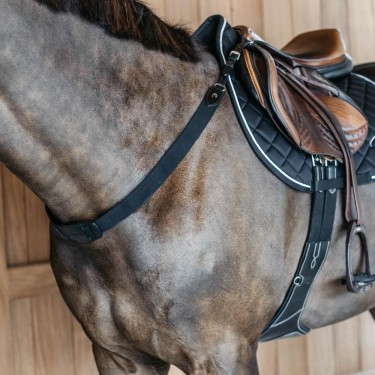 Peitoral elástico New English Collection Dy'on Preto