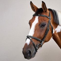 Bridão Muserola Combinada com Montantes com Mosquetões Working by Dy'on Preto Bridão Muserola Combinada com Montantes com Mosquetões Working by Dy'on Preto