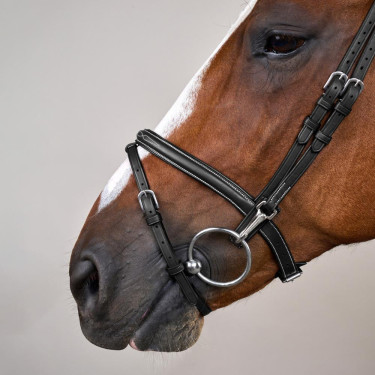 Bridão Muserola Combinada com Montantes com Mosquetões Working by Dy'on Preto Bridão Muserola Combinada com Montantes com Mosquetões Working by Dy'on Preto