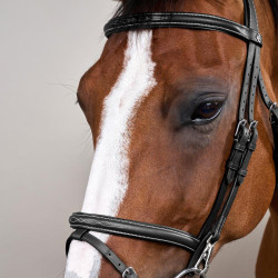 Bridão Muserola Combinada com Montantes com Mosquetões Working by Dy'on Preto Bridão Muserola Combinada com Montantes com Mosquetões Working by Dy'on Preto