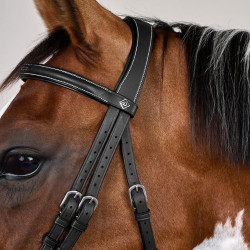 Bridão Muserola Combinada com Montantes com Mosquetões Working by Dy'on Preto Bridão Muserola Combinada com Montantes com Mosquetões Working by Dy'on Preto