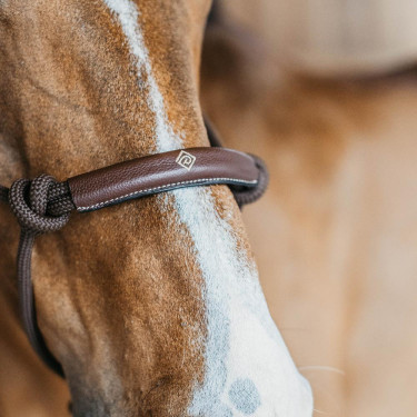 Cabezada etológica Dy'on Castanho