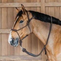 Cabezada etológica Dy'on Castanho