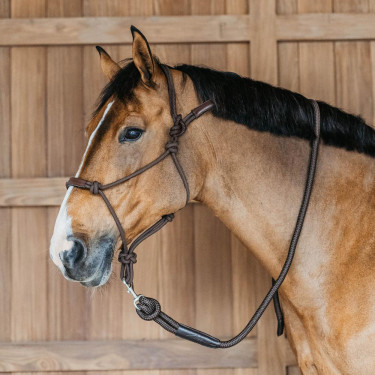 Cabezada etológica Dy'on Castanho