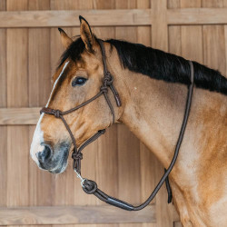 Longe Dy'on com mosquetão Castanho