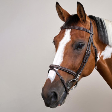 Bridon Working by Dy'on noseband combinada com mosquetões Castanho