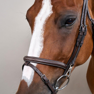 Bridon Working by Dy'on noseband combinada com mosquetões Castanho
