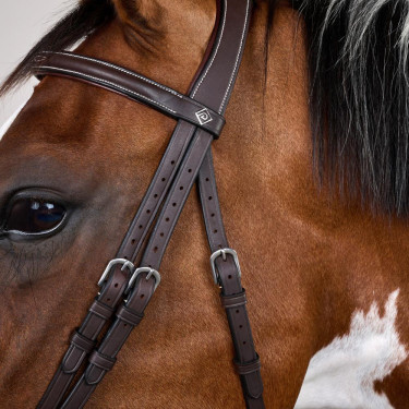 Bridon Working by Dy'on noseband combinada com mosquetões Castanho