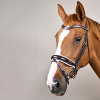 Bridão Working by Dy'on Muserola Combinada Larga Envernizada Forro Branco Preto