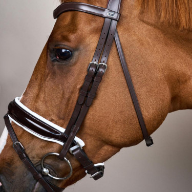 Bridão Working by Dy'on Muserola Combinada Larga Envernizada Forro Branco Castanho