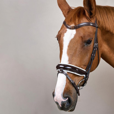 Bridão Working by Dy'on Muserola Combinada Larga Envernizada Forro Branco Castanho