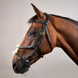 Bridão Narigueira Cruzada Trançada D Collection Dy'on Preto