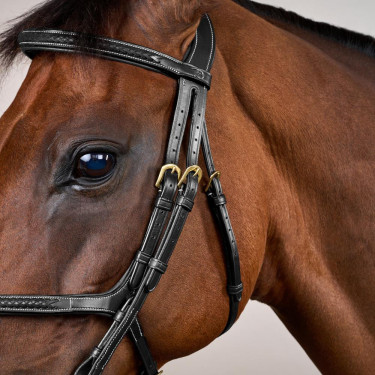 Bridão Narigueira Cruzada Trançada D Collection Dy'on Preto