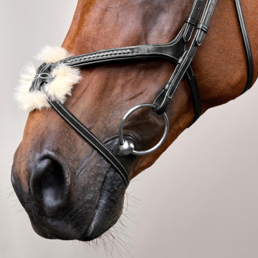 Bridão Narigueira Cruzada Trançada D Collection Dy'on Preto