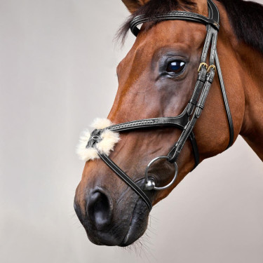 Bridão Narigueira Cruzada Trançada D Collection Dy'on Preto