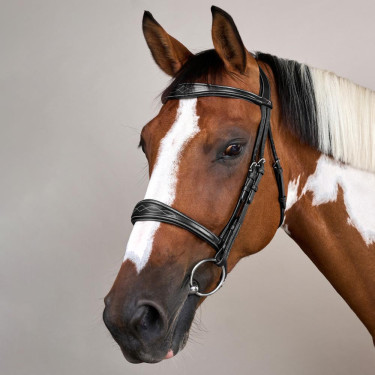Muserola Anatômica sem Barbela Coleção US Jumping Dy'on Preto