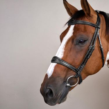 Muserola Anatômica sem Barbela Coleção US Jumping Dy'on Preto