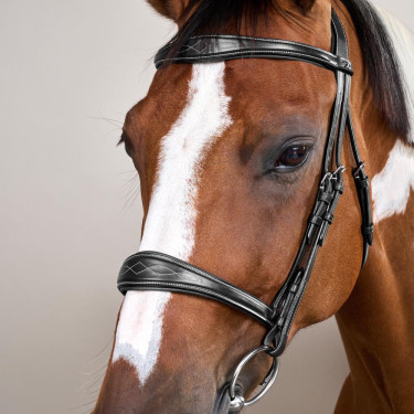 Muserola Anatômica sem Barbela Coleção US Jumping Dy'on Preto