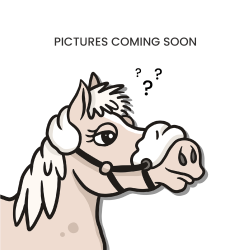 Graxa para cascos Amêndoa Grooming Deluxe Graxa para cascos Amêndoa Grooming Deluxe