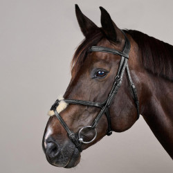 Bridão Muserola Cruzada Trançada New English Collection Dy'on Preto Bridão Muserola Cruzada Trançada New English Collection Dy'on Preto