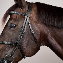 Bridão Muserola Cruzada Trançada New English Collection Dy'on Preto Bridão Muserola Cruzada Trançada New English Collection Dy'on Preto