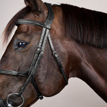 Bridão Muserola Cruzada Trançada New English Collection Dy'on Preto Bridão Muserola Cruzada Trançada New English Collection Dy'on Preto