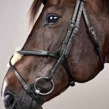 Bridão Muserola Cruzada Trançada New English Collection Dy'on Preto Bridão Muserola Cruzada Trançada New English Collection Dy'on Preto