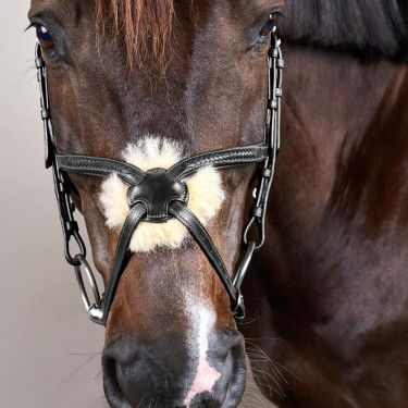 Bridão Muserola Cruzada Trançada New English Collection Dy'on Preto Bridão Muserola Cruzada Trançada New English Collection Dy'on Preto