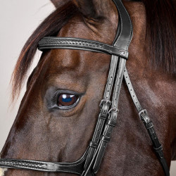 Bridão Muserola Cruzada Trançada New English Collection Dy'on Preto Bridão Muserola Cruzada Trançada New English Collection Dy'on Preto