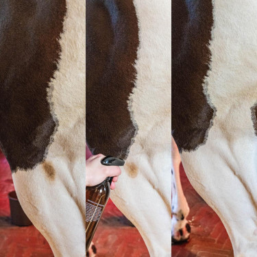 Removedor de manchas verdes e poeira Amêndoa Grooming Deluxe by Kentucky