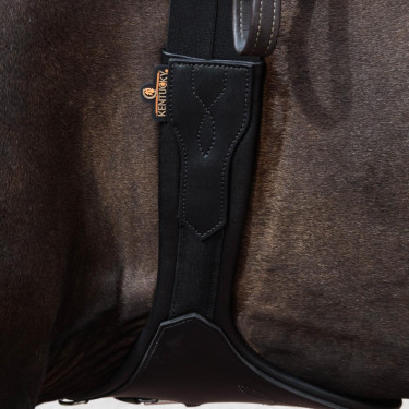 Cilha Anatômica Kentucky Preto