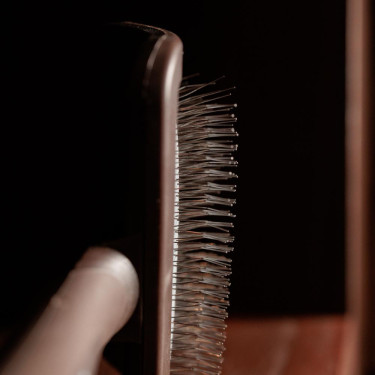 Escova para limpar os velcros Grooming Deluxe