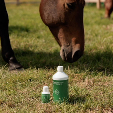 Vitaminas e Minerais Líquidos Booster Grooming Deluxe da Kentucky