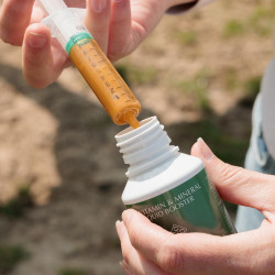 Vitaminas e Minerais Líquidos Booster Grooming Deluxe da Kentucky